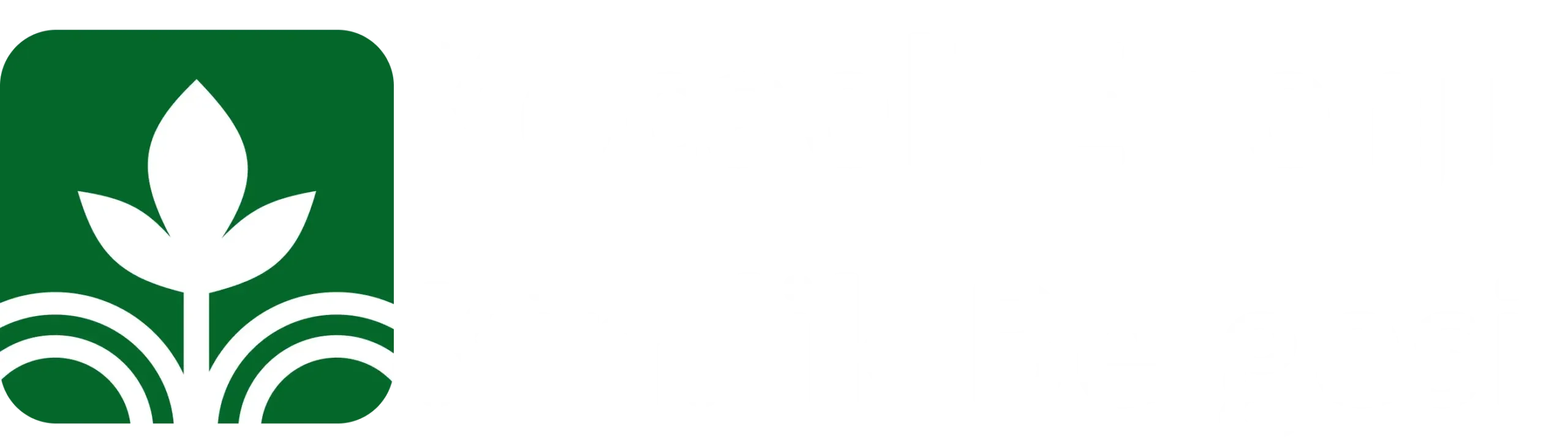logo-scaled